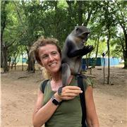 Maestra di scuola primaria, esperta con Dsa, disponibile per supporto scolastico a domicilio. Massima serietà e professionalità